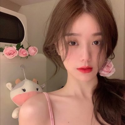 不死鸟之恋