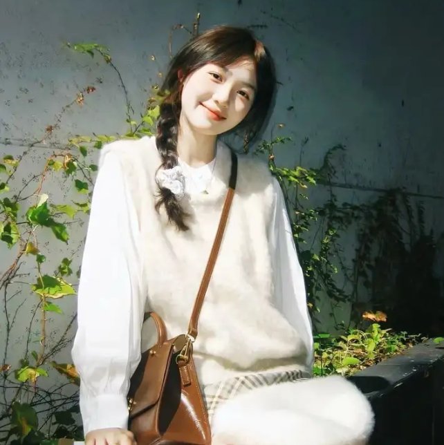 哈桑·明哈杰:国王的小丑